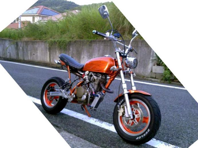 エイプカスタム ベース車両 エイプ50 排気量 124cc ペイントにもこだわったストリートキング 4ミニ Net